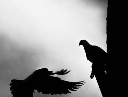 古代历史图片
