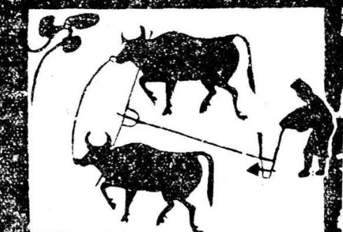 战国时期只有秦国变法了吗?变法和改革的区别是什么?历史图片