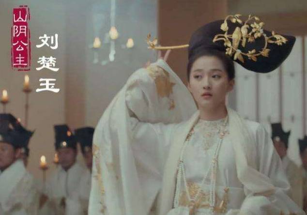 山阴公主历史图片