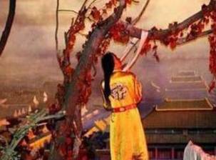 明朝历史图片