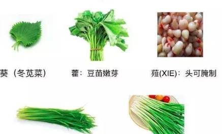 秦朝历史图片
