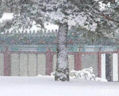 古代历史图片