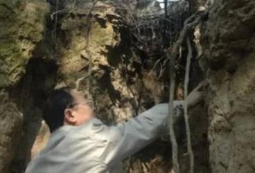 秦始皇历史图片