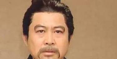夷陵之战历史图片