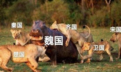 魏国历史图片