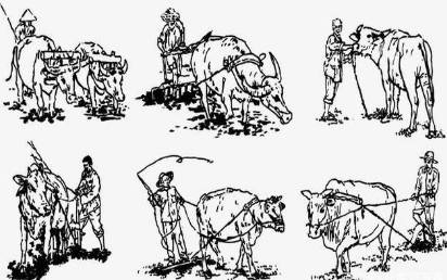 古代历史图片