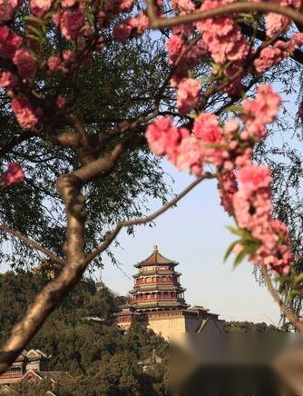 颐和园历史图片