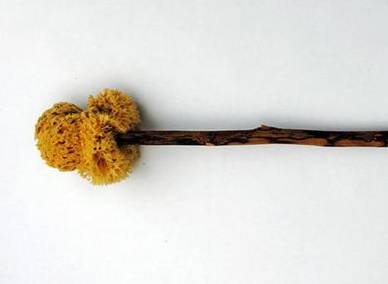古代历史图片