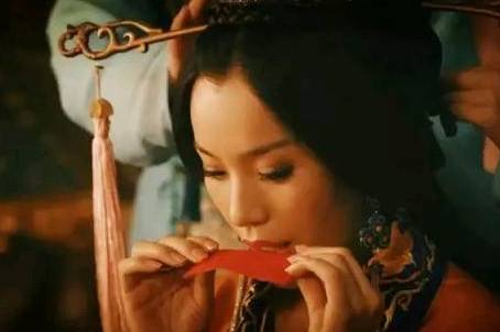 西夏历史图片