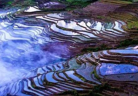 瘴气历史图片