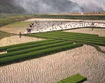 王莽历史图片