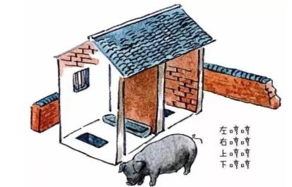 厕所历史图片