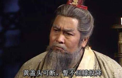 蜀魏两国皆有名将历史图片