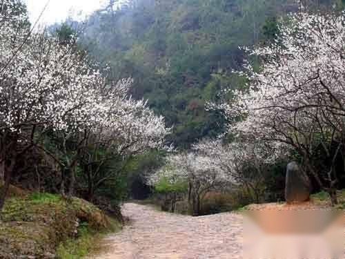 古道历史图片