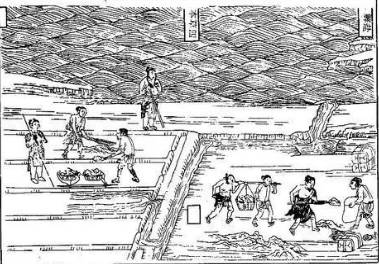 三国历史图片