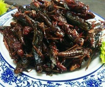 古代历史图片