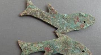 金龟婿历史图片