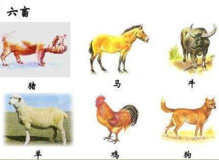 美食历史图片