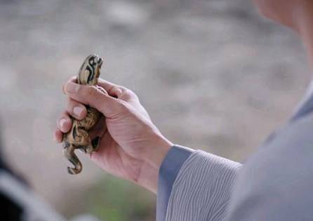 古代历史图片