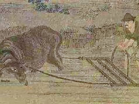 唐朝历史图片