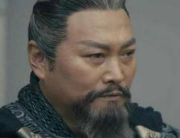 卫将军历史图片