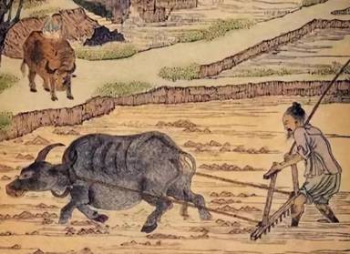 重农抑商历史图片