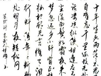 苏轼历史图片