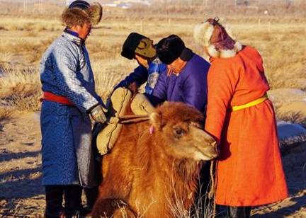 古代历史图片