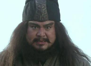 姜维历史图片