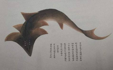 海鲜历史图片