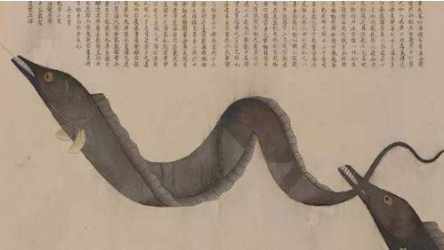 海鲜历史图片