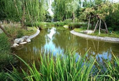 春草历史图片