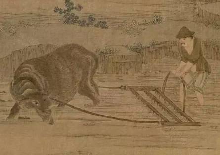 契约历史图片