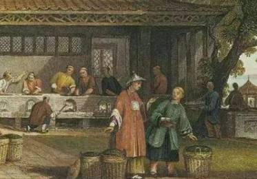 茶叶历史图片