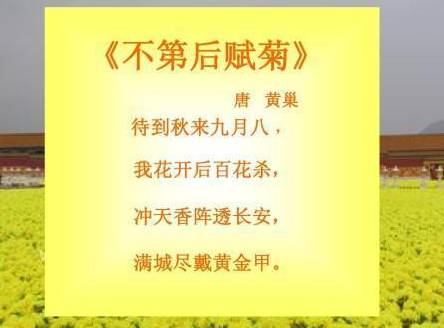 唐朝历史图片