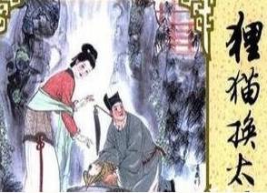 狸猫换太子历史图片
