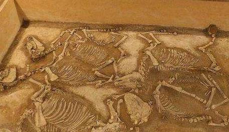 古代历史图片