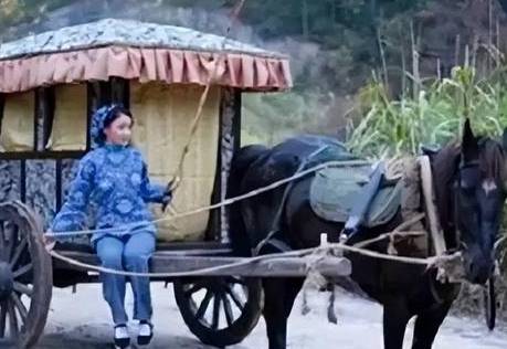 古代历史图片