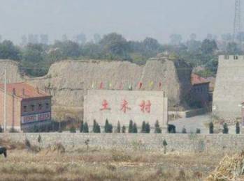 王振历史图片