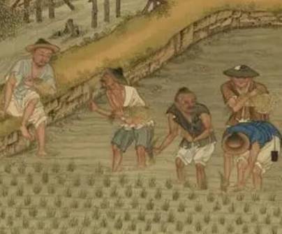 粮食历史图片