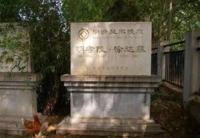 徐达历史图片