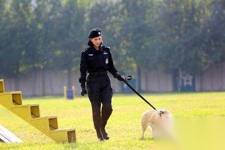 警花与警犬历史图片