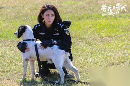 警花与警犬历史图片