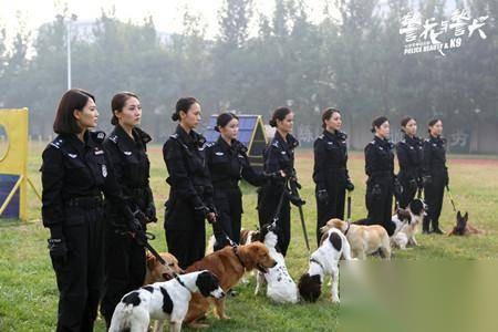 警花与警犬历史图片