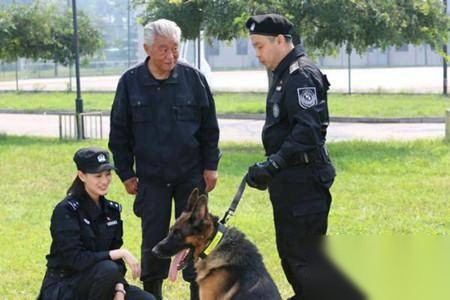 警花与警犬历史图片