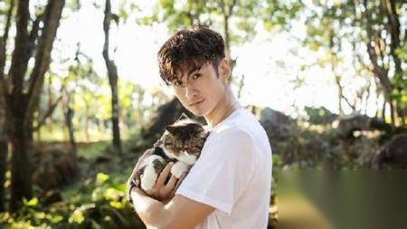 神犬小七第二季历史图片