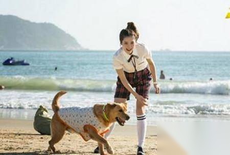 神犬小七第二季历史图片
