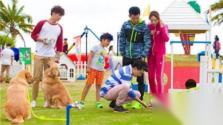 神犬小七第二季历史图片