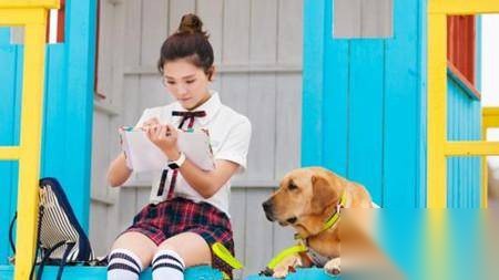 神犬小七第二季历史图片