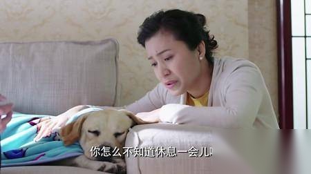 警花与警犬历史图片